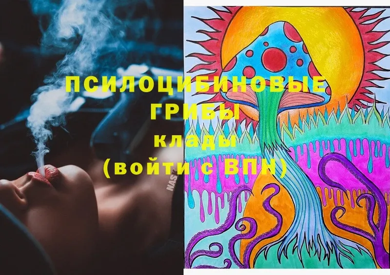 Псилоцибиновые грибы Magic Shrooms Олонец